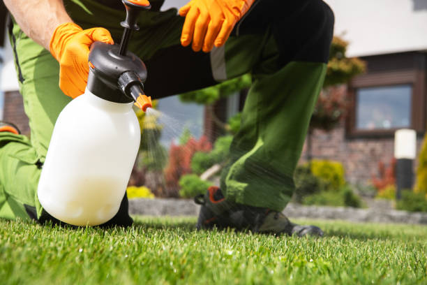Best Affordable Pest Control Services  in Vicksburg, MS