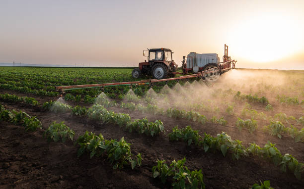 Best Pest Control for Homes  in Vicksburg, MS