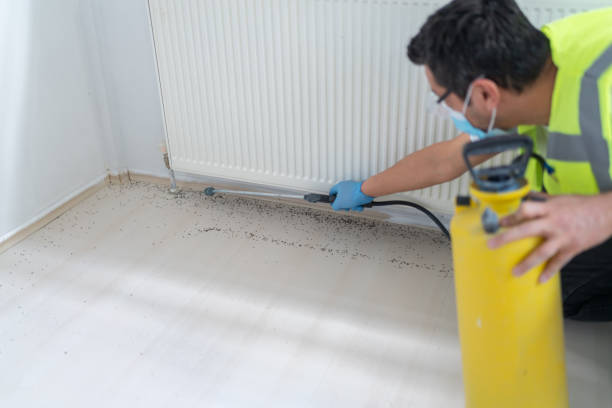 Best Pest Control for Businesses  in Vicksburg, MS