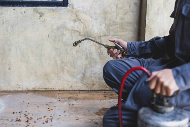 Pest Control Cost in Vicksburg, MS