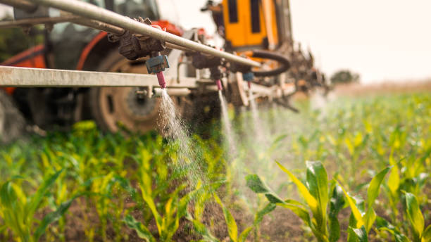 Best Pest Control Cost  in Vicksburg, MS