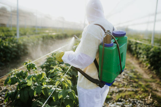 Best Affordable Pest Control Services  in Vicksburg, MS